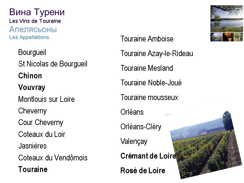 40 Вина Турени Les Vins de Touraine Апелясьоны Les Appellations Bourgueil St Nicolas de